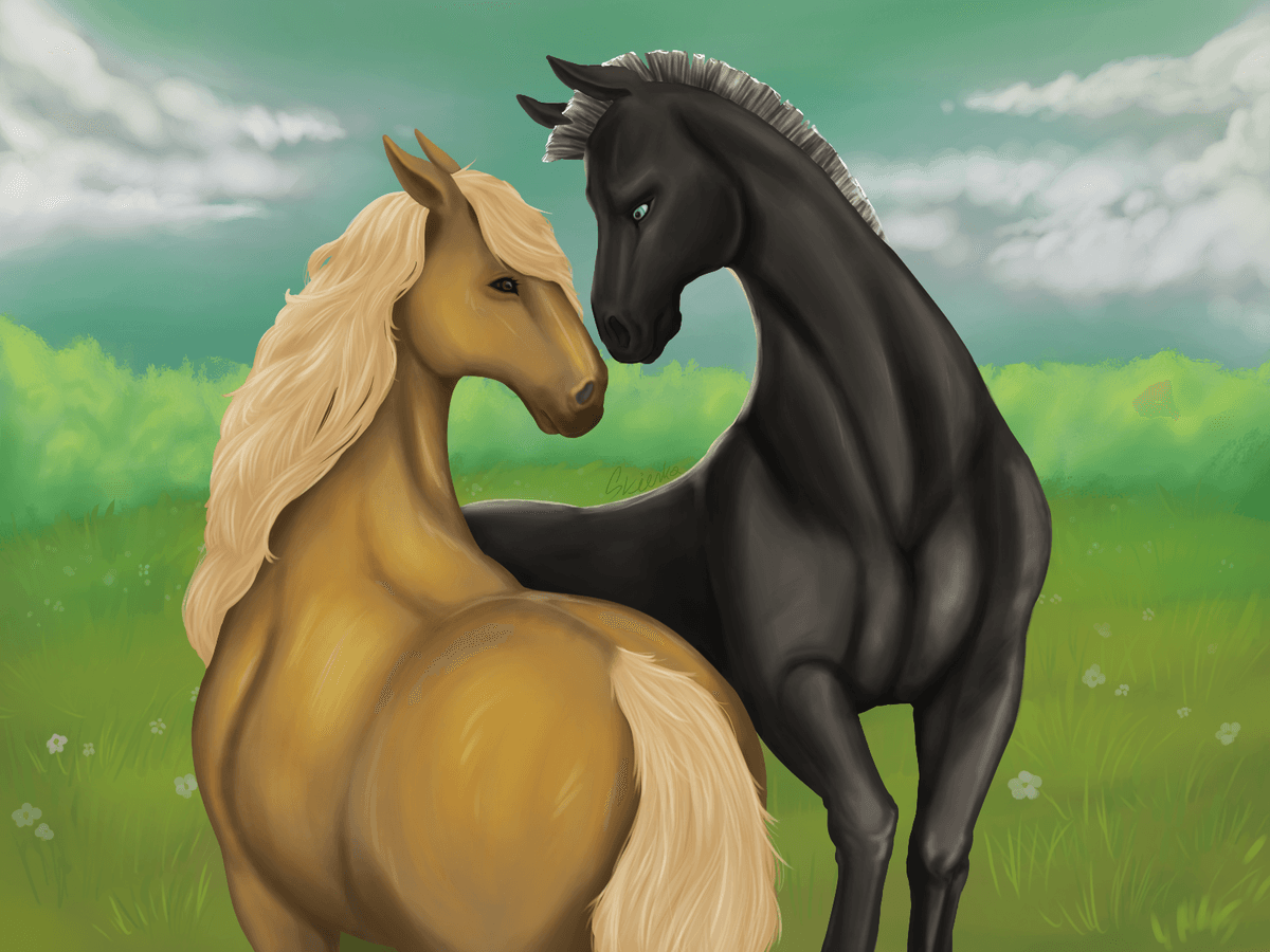 Horses in the meadow